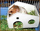 Dudley is his house. He's always knocking off the roof